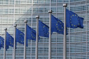 Read more about the article EU Employees Right to Work